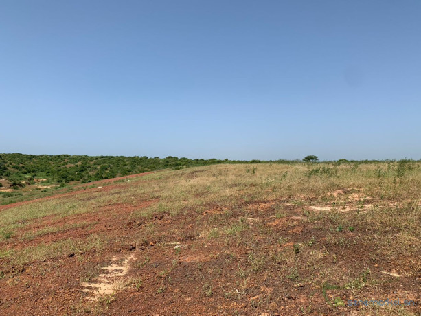 terrains-viabilises-disponibles-a-cote-du-port-de-ndayane-big-3