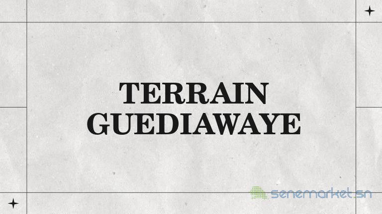 terrains-a-guediawaye-big-0