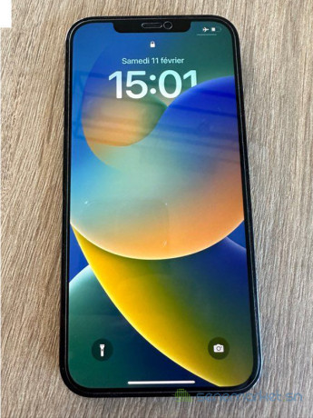 iphone-12-pro-max-256go-big-0