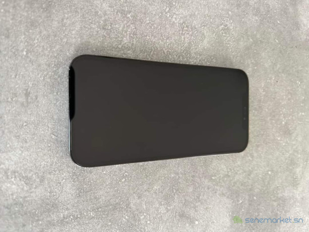 iphone-12-pro-max-256go-big-2