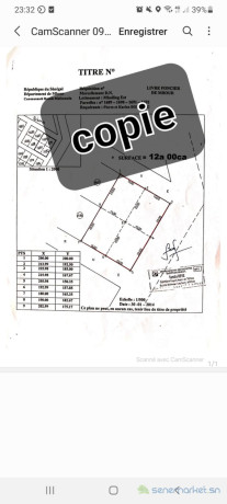 terrains-angles-300m2-warang-cote-hotel-tamarin-big-1