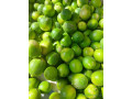 citron-vert-bio-disponible-small-0