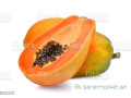 papaye-bio-disponible-small-0