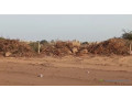 terrains-150m2-sangalkam-cote-sicap-small-2