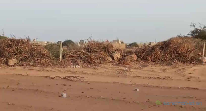terrains-150m2-sangalkam-cote-sicap-big-2