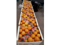 fruits-small-2