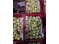 fruits-small-1