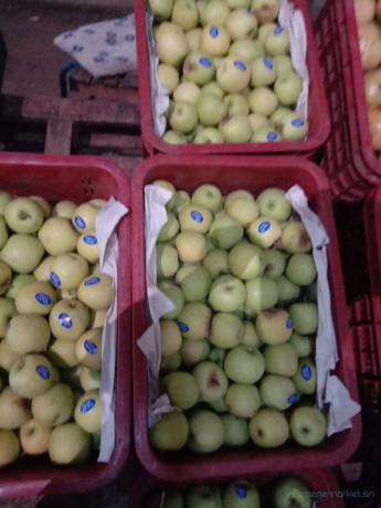 fruits-big-1