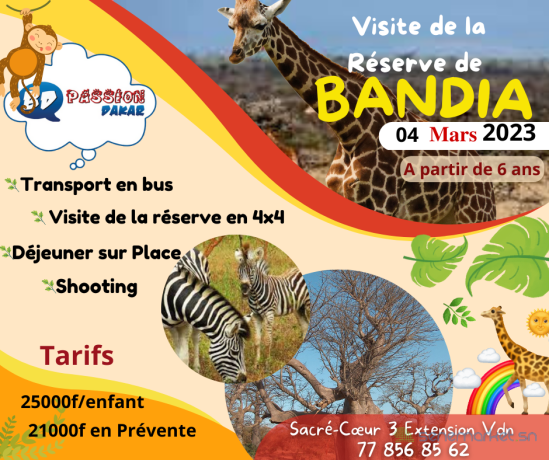 visite-de-la-reserve-de-bandia-big-0
