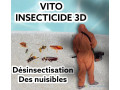 desinsectisation-deratisation-small-0