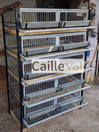 case-de-caille-baterrie-big-0