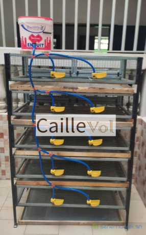case-de-caille-baterrie-big-1