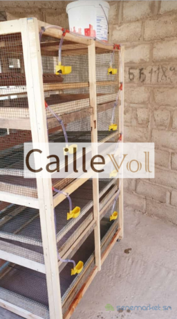 case-de-caille-baterrie-big-3