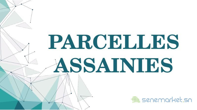 parcelles-assainies-big-0