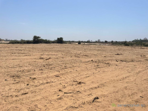 vente-terrains-150-lac-rose-big-2