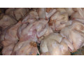 poulets-de-chair-thies-vide-et-emballe-disponible-a-thies-small-0