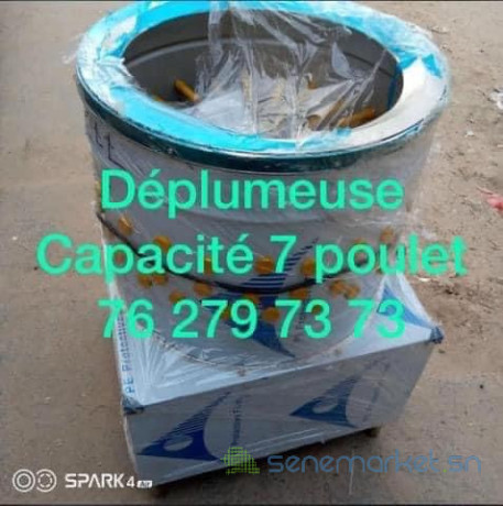 plumeuse-7-a-8-poulet-big-0