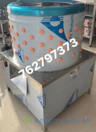 plumeuse-7-a-8-poulet-big-1