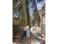 terrain-220m2-a-petit-mbao-a-5mn-de-la-plage-small-3