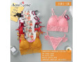 ensemble-soutien-et-string-small-0