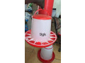 mangoir-small-1