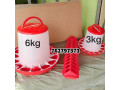 mangoir-small-2