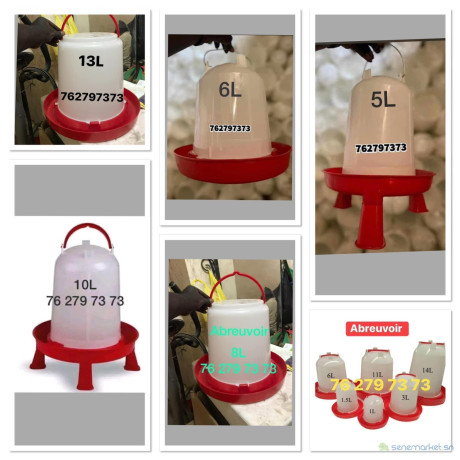 mangoir-big-4