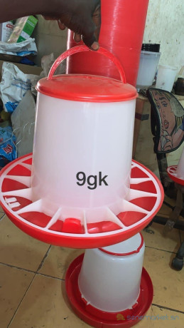 mangoir-big-1