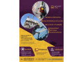 offres-de-services-small-0