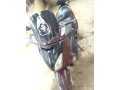 vente-de-moto-xmax-small-0