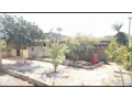 maison-small-3