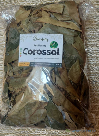 des-feuilles-de-corossol-bio-disponible-big-0