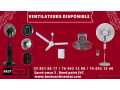 ventilateur-a-vendre-small-0