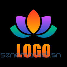 designer-graphique-professionnel-pour-la-creation-de-logo-et-daffiche-big-0