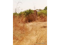 a-vendre-un-verger-de-8556m2-a-malicounda-small-1