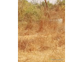 a-vendre-un-verger-de-8556m2-a-malicounda-small-0
