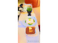 vente-de-repas-small-3
