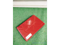 acer-small-1