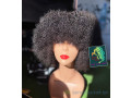 perruques-wig-small-3