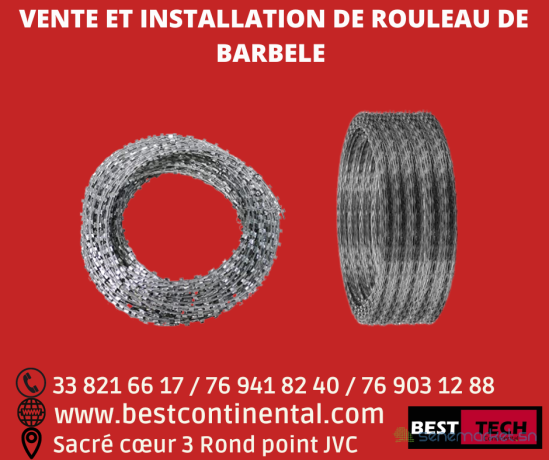 barbele-a-vendre-au-senegal-big-0