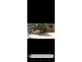 maison-a-vendre-400m2-grand-thialy-thies-en-ville-small-1