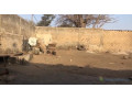 terrain-titre-foncier-individuel-small-1