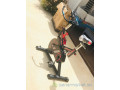 velo-spining-pro-original-neuf-small-3