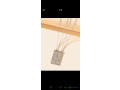 colliers-couple-small-2