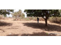 terrain-de-450-m2-a-saly-small-0