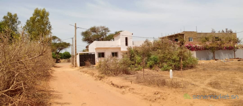terrain-de-450-m2-a-saly-big-3