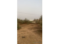 terrain-de-300-metres-carres-a-malicounda-small-3