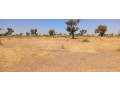 terrain-de-1200-metres-carres-a-malicounda-small-2