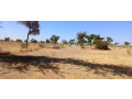 terrain-de-1200-metres-carres-a-malicounda-small-0