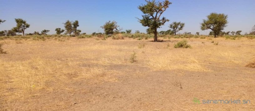 terrain-de-1200-metres-carres-a-malicounda-big-2